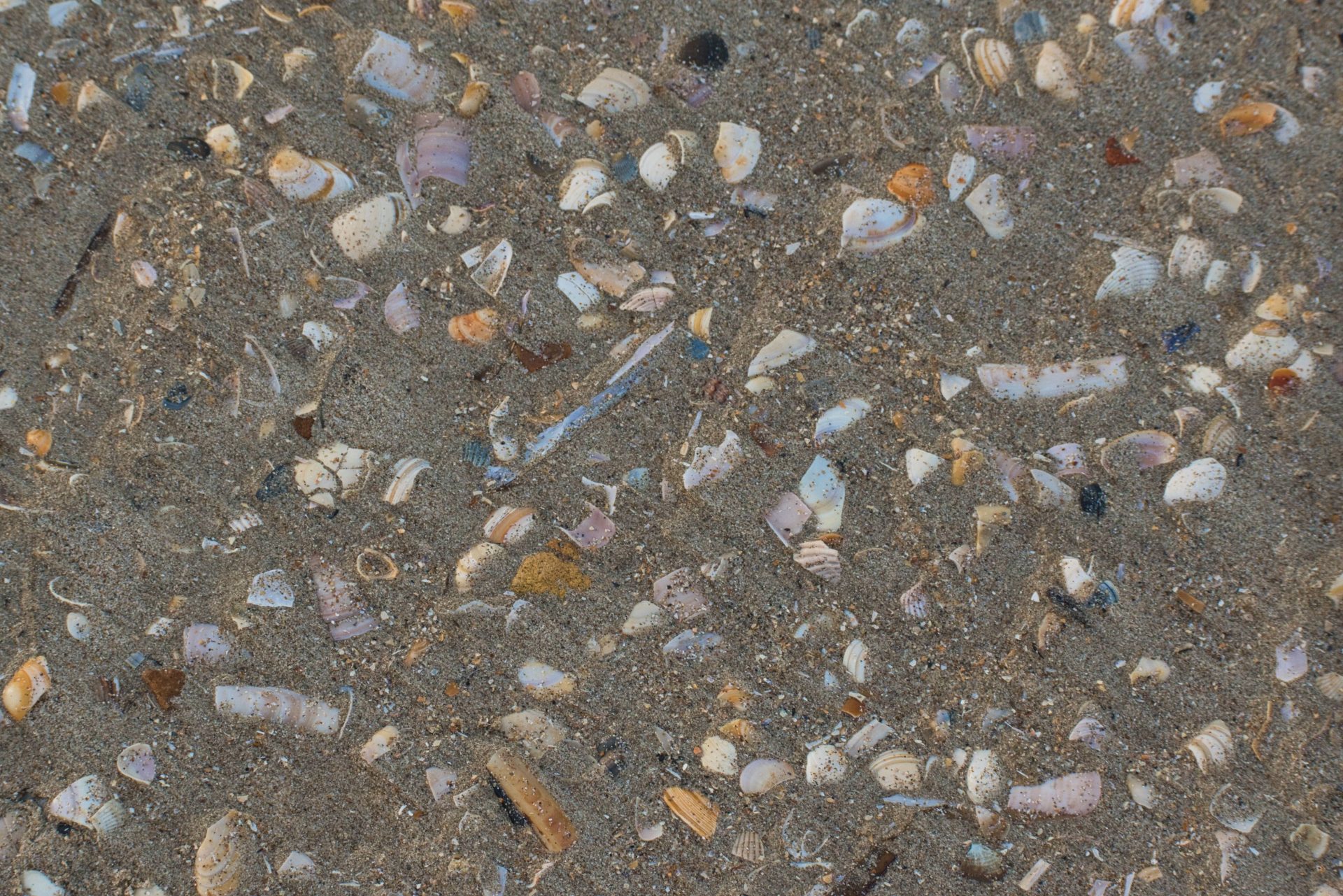 De Panne – top 5 fantastic things to do