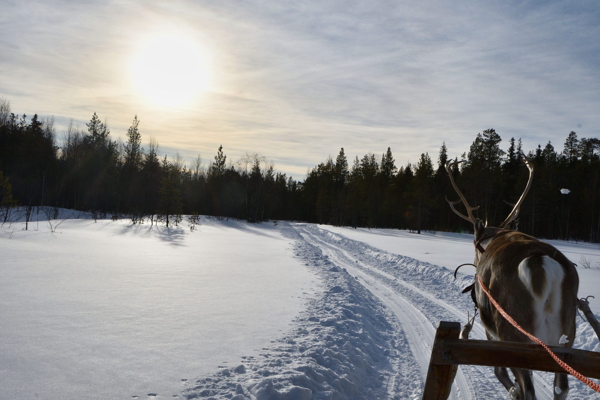 Prachtig Lapland – top 5 fantastische dingen om te doen in Levi