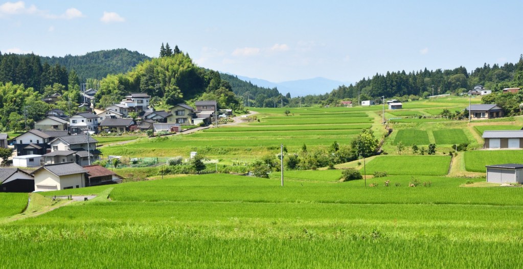 Magome rice fields
Japan wandeling Magome - Tsumago 